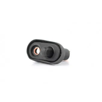 Interrupteur, contacteur de porte BSG BSG 30-860-022