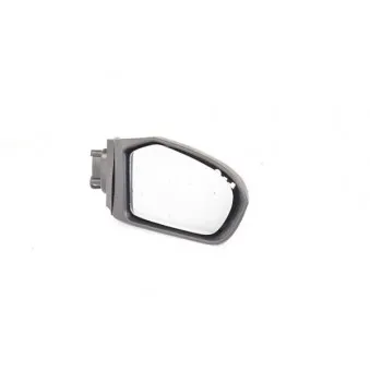 Rétroviseur extérieur BSG BSG 30-900-064
