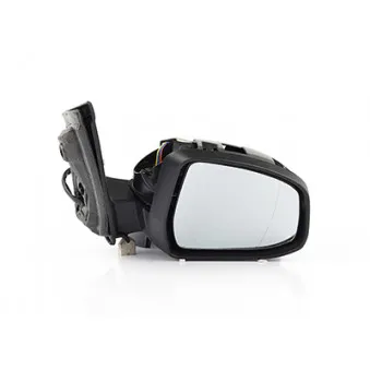 Rétroviseur extérieur BSG BSG 30-900-065