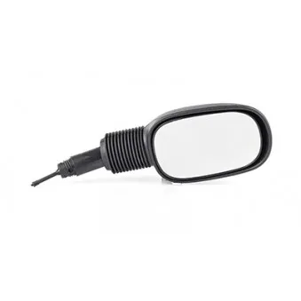 Rétroviseur extérieur BSG BSG 30-900-071