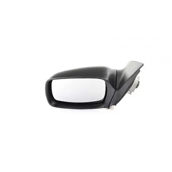 Rétroviseur extérieur BSG BSG 30-900-076
