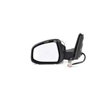 Rétroviseur extérieur BSG BSG 30-900-084