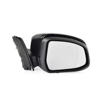 Rétroviseur extérieur BSG BSG 30-900-094