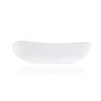 Verre de rétroviseur, rétroviseur extérieur BSG BSG 30-910-008