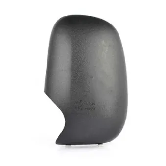 Revêtement, rétroviseur extérieur BSG BSG 30-915-002