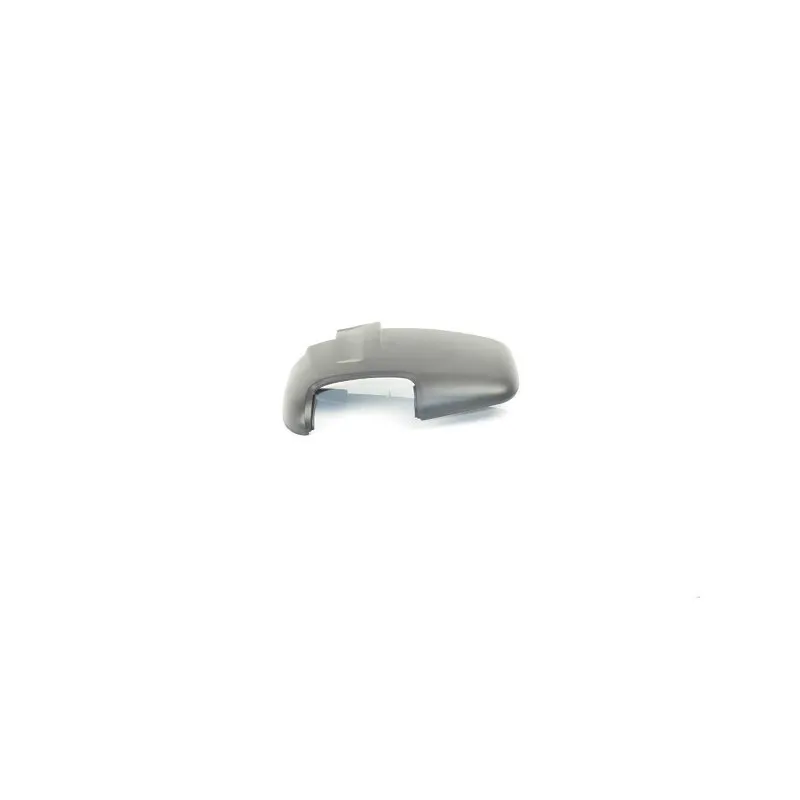 Revêtement, rétroviseur extérieur BSG BSG 30-915-023