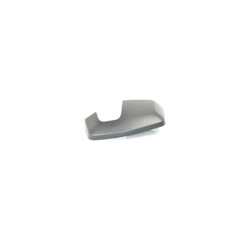 Revêtement, rétroviseur extérieur BSG BSG 30-915-025