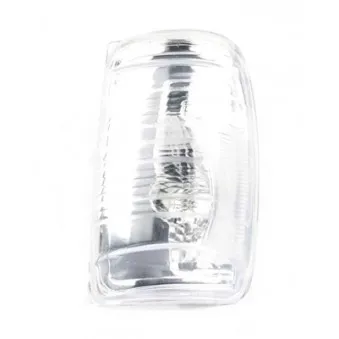 Feu clignotant BSG BSG 30-916-006