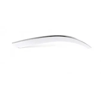 Baguette et bande protectrice, pare-chocs BSG BSG 30-922-008