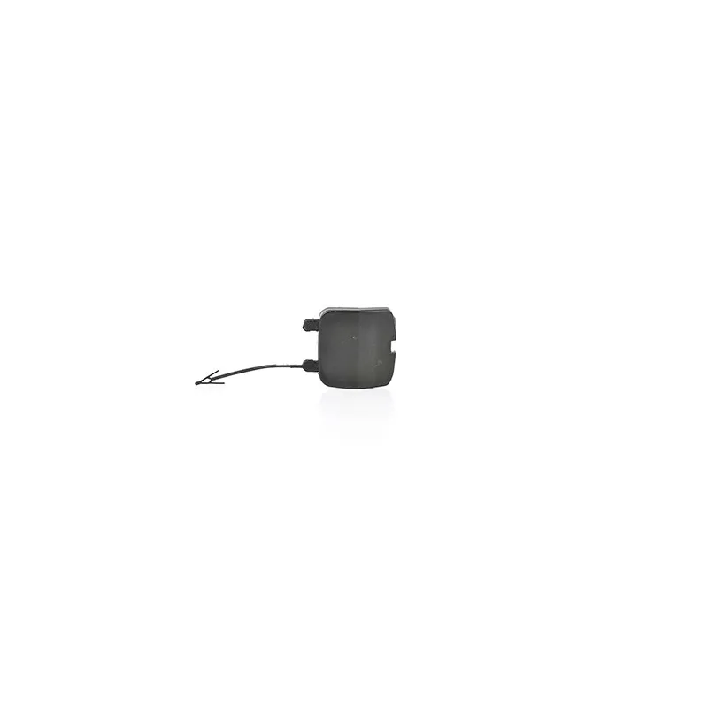 Capuchon, crochet de remorquage BSG BSG 30-922-041
