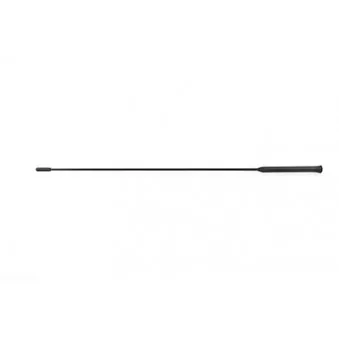 Antenne BSG BSG 30-922-073