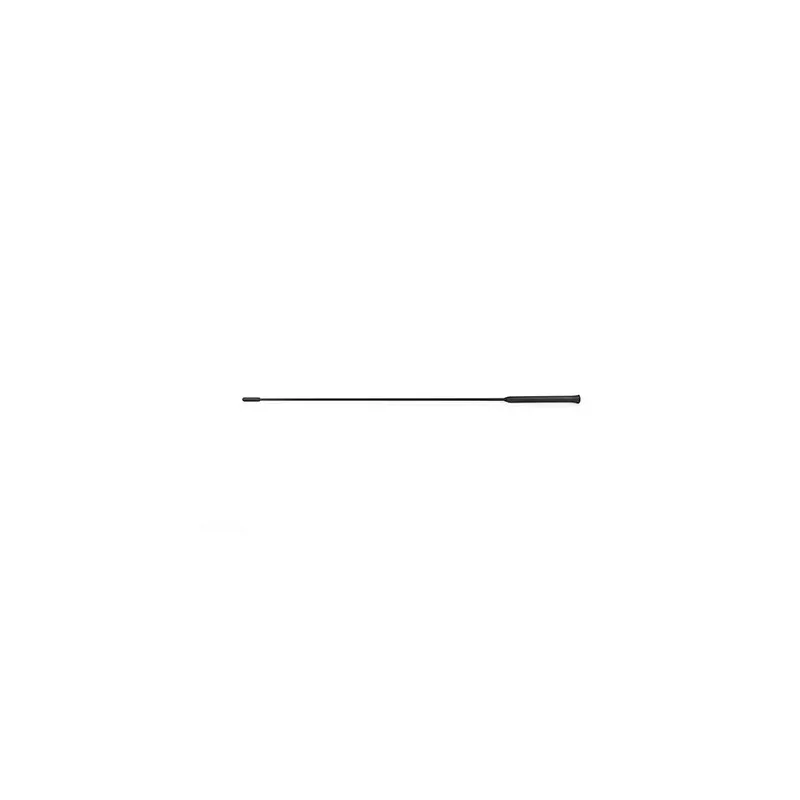 Antenne BSG BSG 30-922-073
