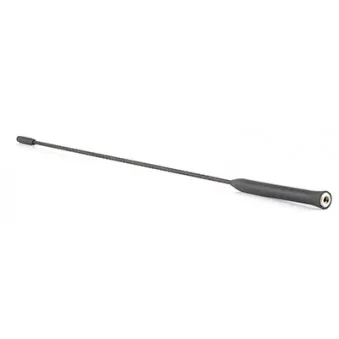 Antenne BSG BSG 30-922-114