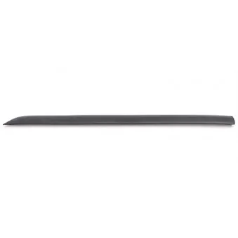 Baguette et bande protectrice, porte BSG BSG 30-924-002