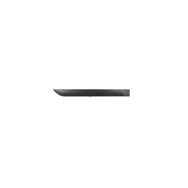 Baguette et bande protectrice, porte BSG BSG 30-924-004