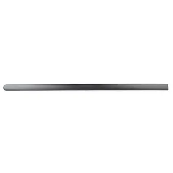 Baguette et bande protectrice, porte avant droit BSG BSG 30-924-031