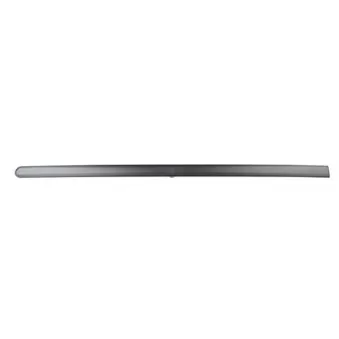 Baguette et bande protectrice, porte avant gauche BSG BSG 30-924-032