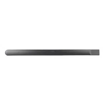 Baguette et bande protectrice, porte arrière gauche BSG BSG 30-924-033