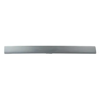 Baguette et bande protectrice, porte BSG BSG 30-924-035