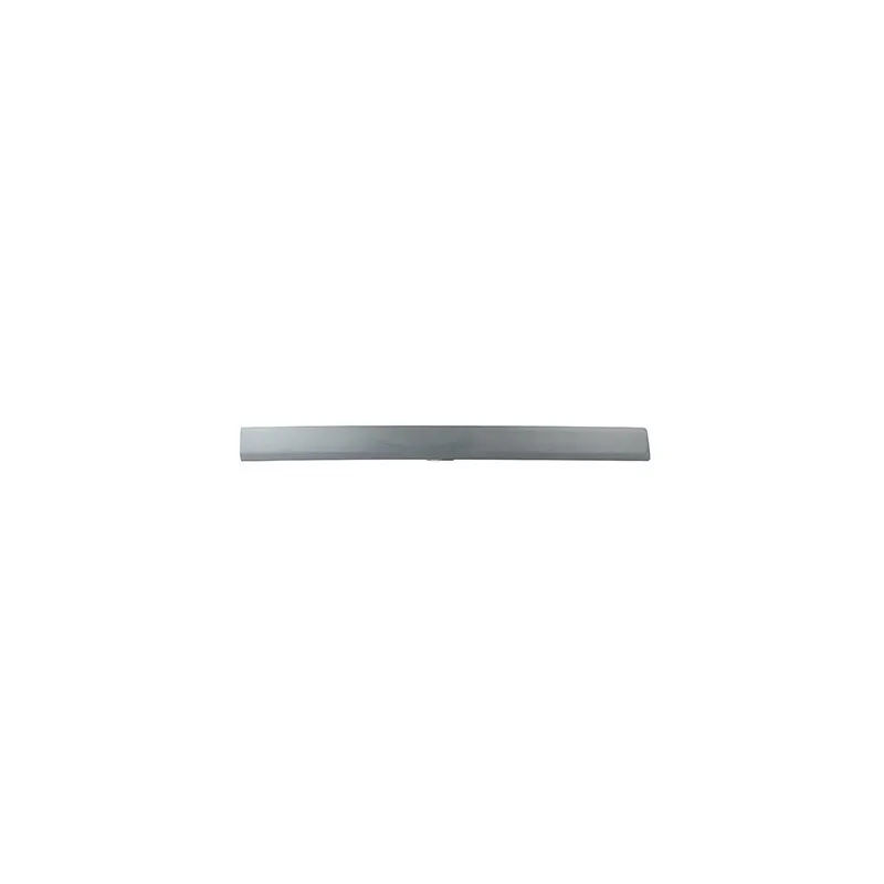 Baguette et bande protectrice, porte BSG BSG 30-924-035