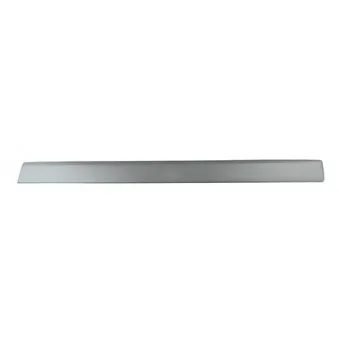 Baguette et bande protectrice, porte BSG BSG 30-924-036