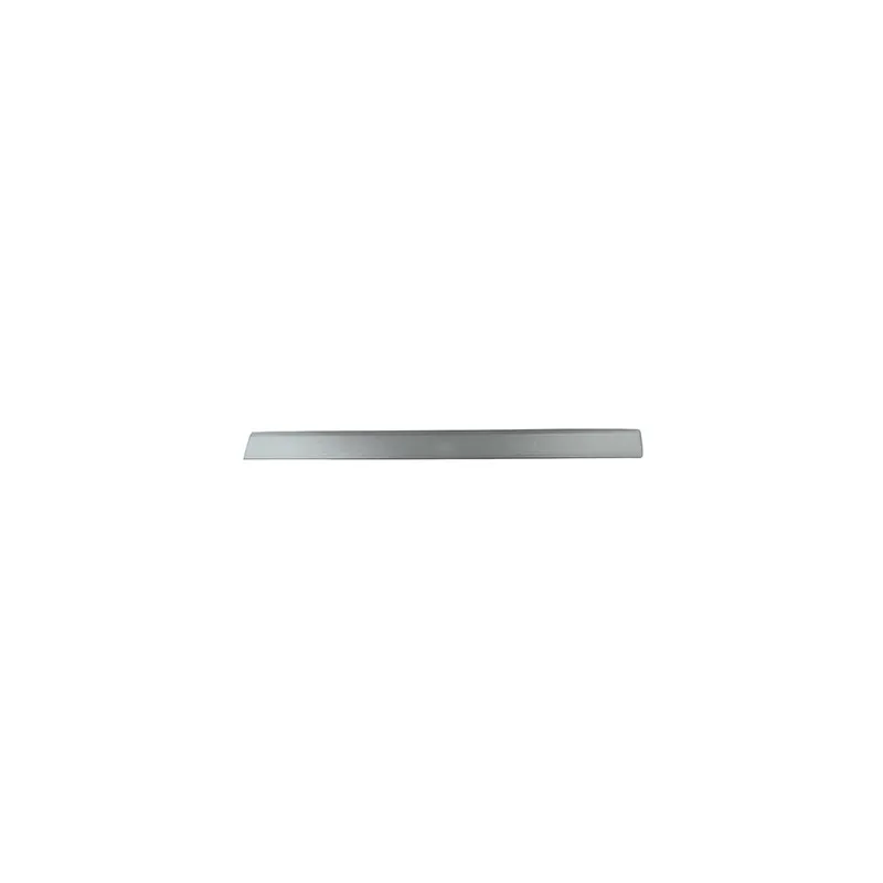 Baguette et bande protectrice, porte BSG BSG 30-924-036