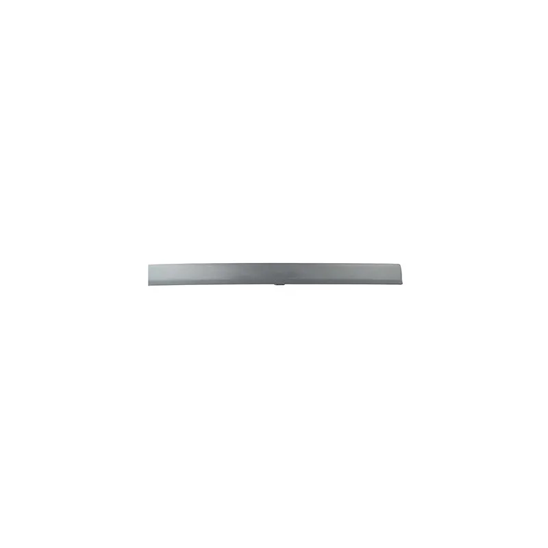 Baguette et bande protectrice, porte BSG BSG 30-924-037