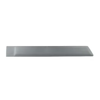 Baguette et bande protectrice, porte BSG BSG 30-924-038