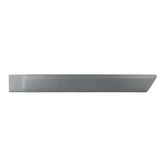 Baguette et bande protectrice, porte BSG BSG 30-924-039
