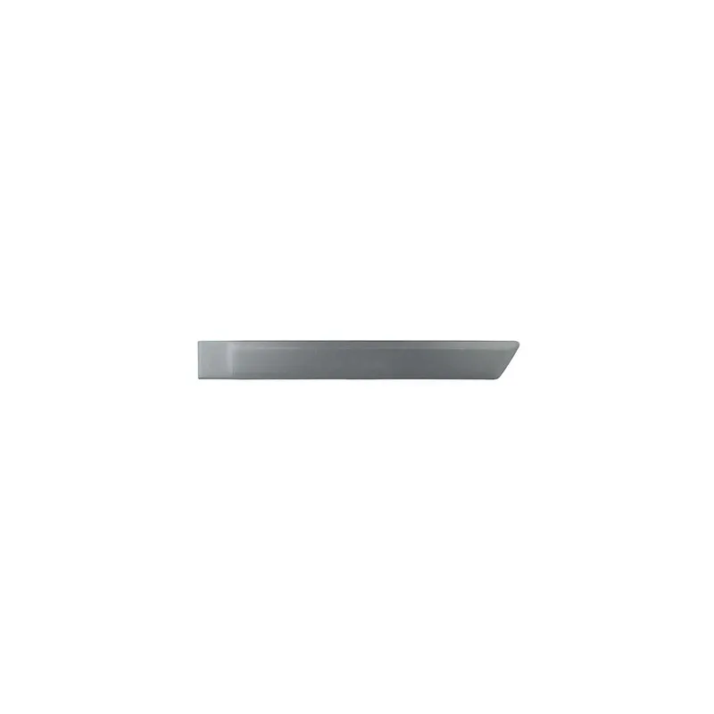 Baguette et bande protectrice, porte BSG BSG 30-924-039