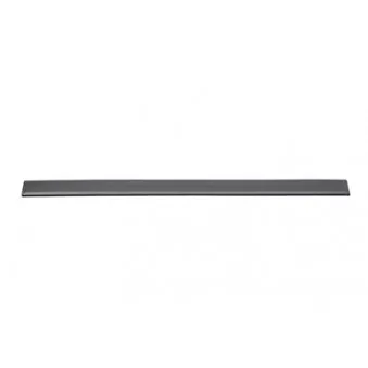 Baguette et bande protectrice, porte avant droit BSG BSG 30-924-053