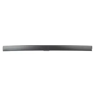 Baguette et bande protectrice, porte avant gauche BSG BSG 30-924-054