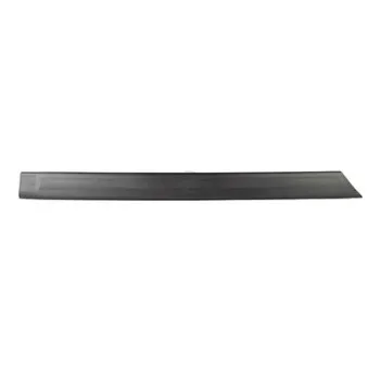 Baguette et bande protectrice, porte arrière droit BSG BSG 30-924-055