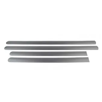 Baguette et bande protectrice, porte BSG BSG 30-924-061