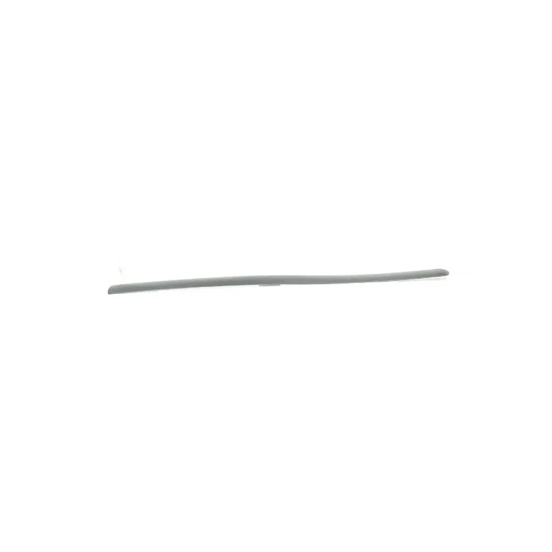Baguette et bande protectrice, porte BSG BSG 30-924-064