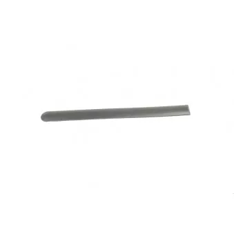 Baguette et bande protectrice, porte BSG BSG 30-924-065