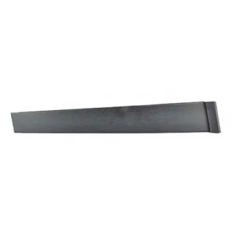 Baguette et bande protectrice, vitre de porte BSG BSG 30-925-004