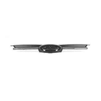 Grille de radiateur BSG BSG 30-927-011