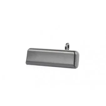 Poignée de porte BSG BSG 30-970-023