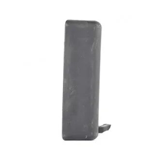 Poignée extérieure de porte avant droit BSG BSG 30-970-036