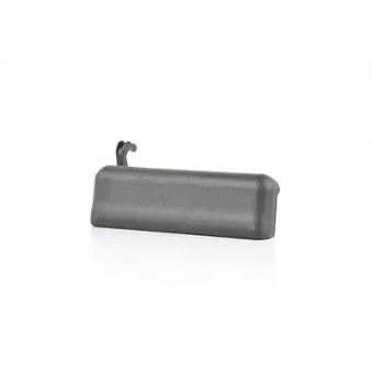 Poignée de porte avant droit BSG BSG 30-970-038