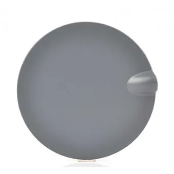 Bouchon, réservoir de carburant BSG BSG 30-971-012