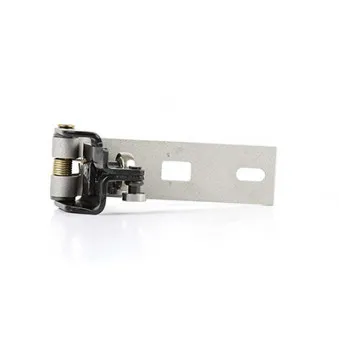 Guidage à galets, porte coulissante arrière droit BSG BSG 30-975-010
