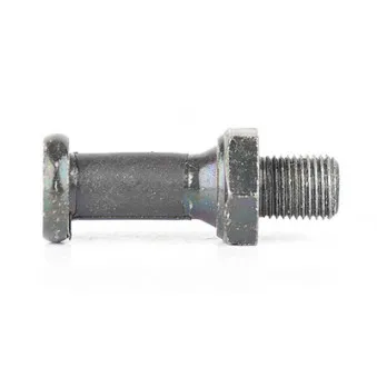 Serrure de capot de coffre BSG