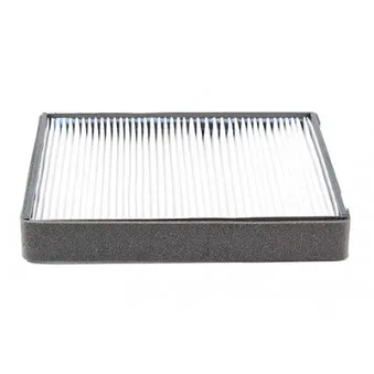 Filtre, air de l'habitacle BSG BSG 40-145-007