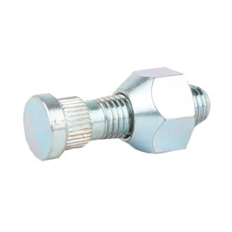 Vis de roue BSG BSG 40-230-001