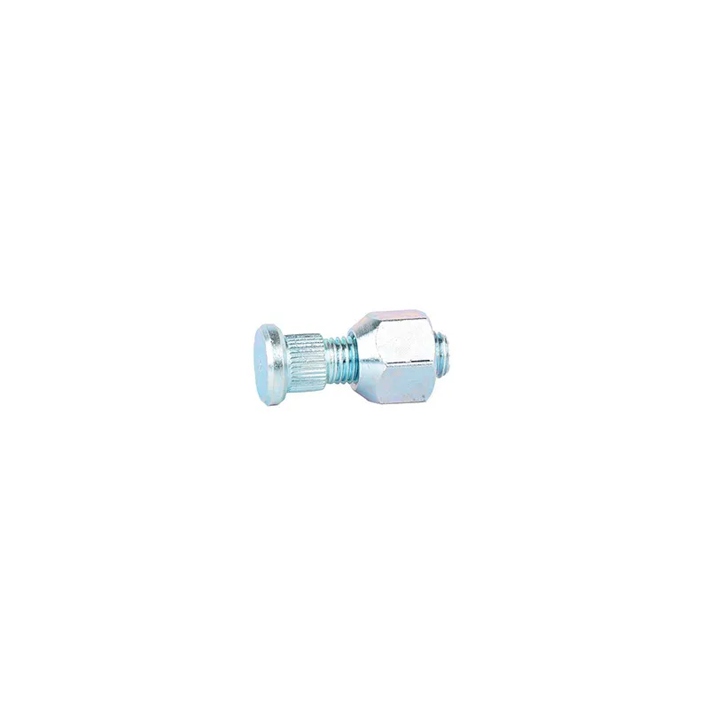 Vis de roue BSG BSG 40-230-010