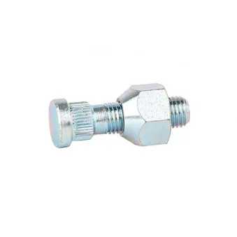 Vis de roue BSG BSG 40-230-016