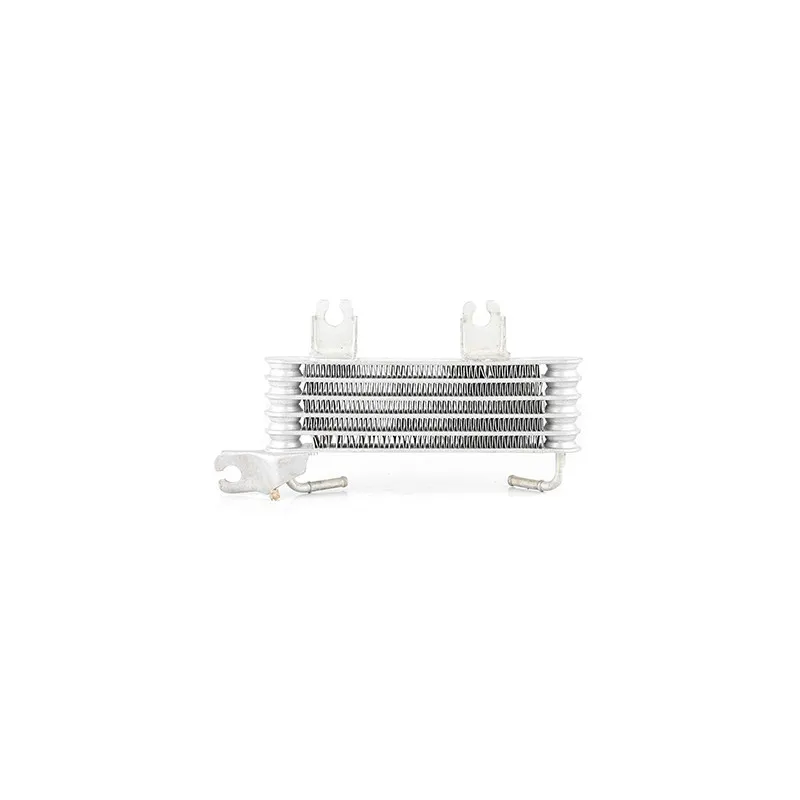 Radiateur d'huile BSG BSG 40-506-005