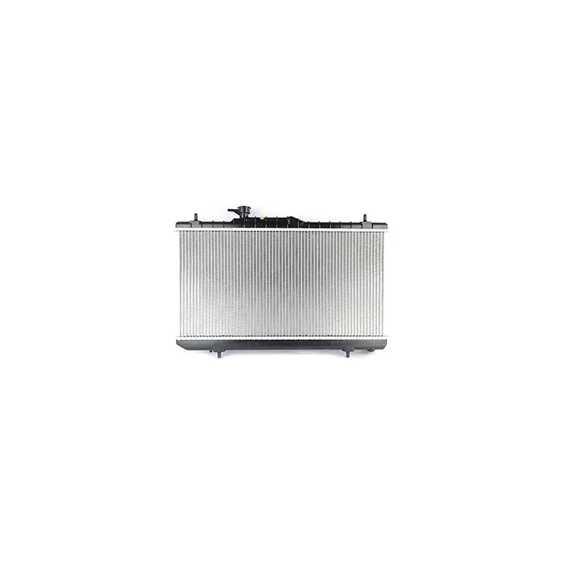 Radiateur, refroidissement du moteur BSG BSG 40-520-002